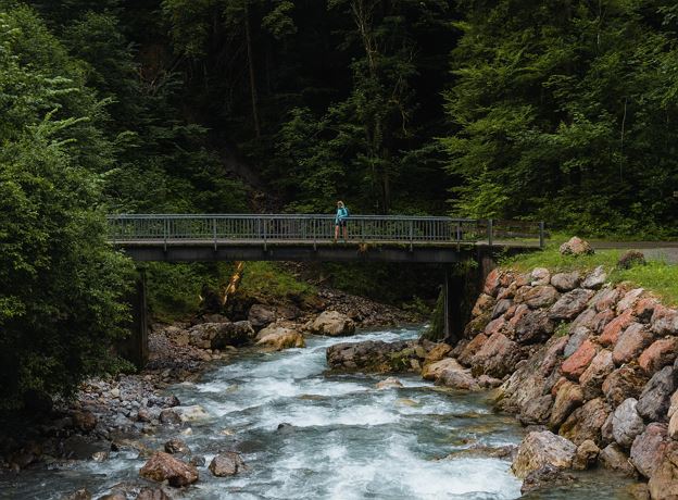 Family biotope excursion along the Lutz river