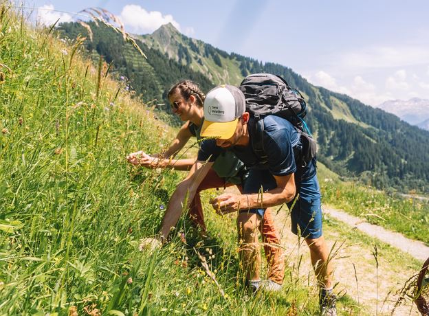 Herbal Walk to the Stafel Alpe with Christiane Martin