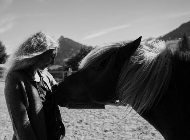 Meeting with the Horses